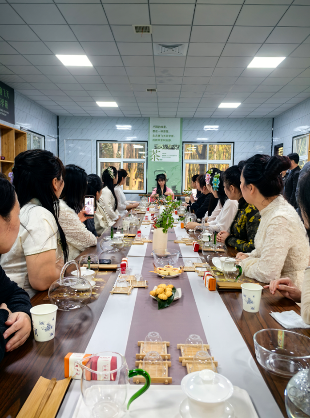南阳卢园举办唐风茶会：古韵新风共融，赋能茶文化产业
