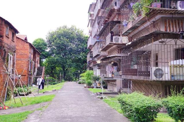 童年里的广州军区157医院，那时候的美好记忆。