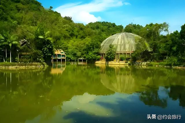 游客怒喷!花110元去云南野象谷,3根黄瓜30元,根本看不到野象?