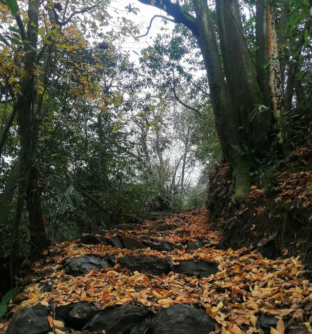一般的拼豆我不拼，但你要说剑门关的拼豆我可感兴趣了！