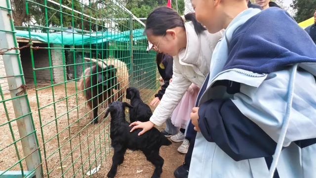 @everyone，初冬来老北山撒欢吧！