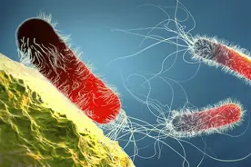 白血病患者这 3 项指标正常，病情基本不会复发了，可以松口气！图片