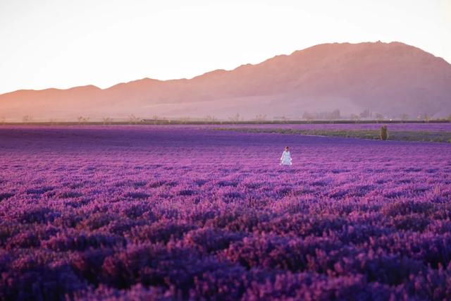 草原花海,塞外江南——超全新疆伊犁旅游攻略