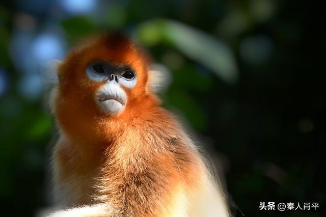 禁线夺命何时休？敬畏自然才是户外底线