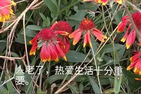 老兄弟姐妹之间的微信交流图片