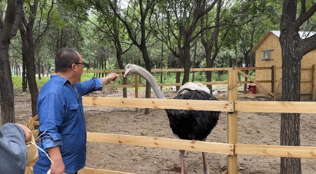 冬日遛娃无需远行,来紫谷萌宠乐园解锁超多趣味玩法!