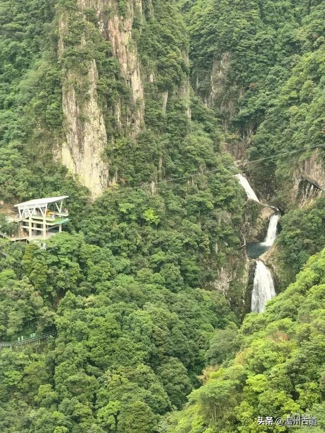 温州这个亲子游玩胜地、植物自然课堂孩子玩嗨家长不累