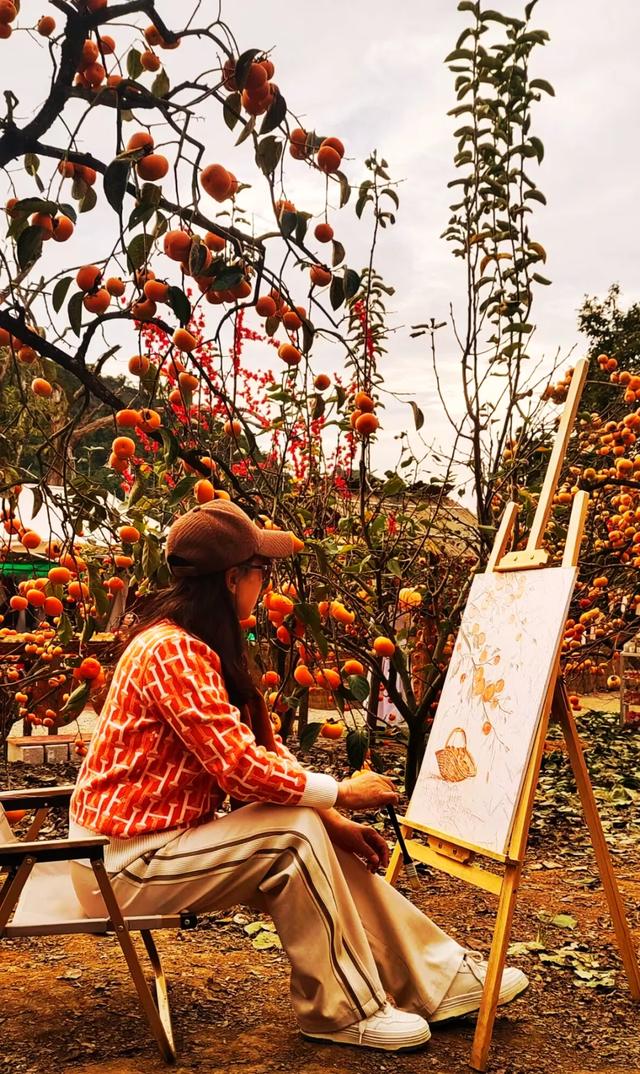 桂林：不入柿园，怎知秋色几许！