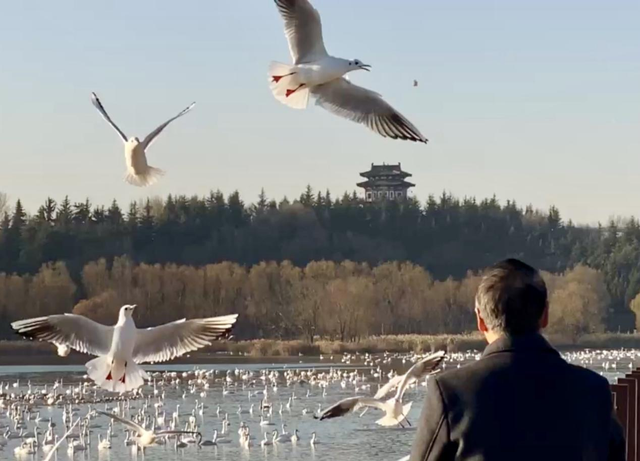 太阳渡的兴衰与新生