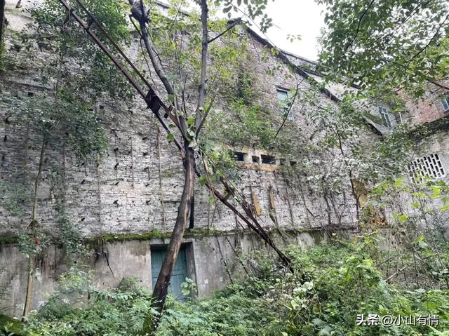 重庆小镇电影院的消失，预示着再也走不出伟大的导演了