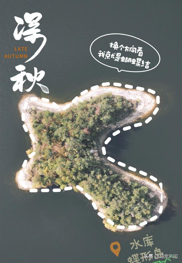 十一月底道观河，满山红叶如火海，湖心蝴蝶结美得让人窒息