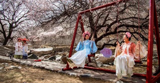 十里杏花谷，醉美棋盘山！3月21日~来赞皇和杏花约个会吧