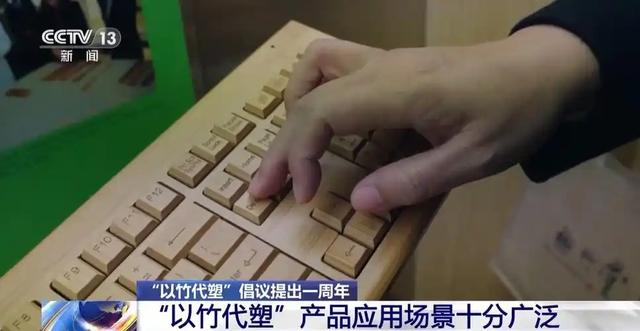 竹子能救地球？中国这招太狠了！专家解谜竹子代替塑料的战略意义