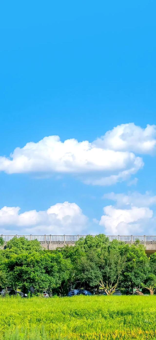手机壁纸|风景