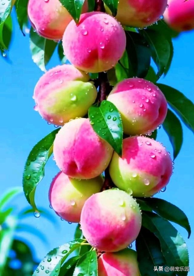 指尖轻触定格美好，民俗风情与生活交织	，让冰冷屏幕拥有温度