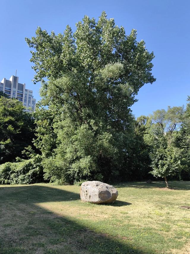 加拿大——我的境外旅游第七站（续五，多伦多步行篇）