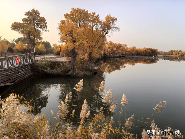 2025环南疆沙漠铁路背包自由行日记(6)---游览巴楚红海胡杨林景区