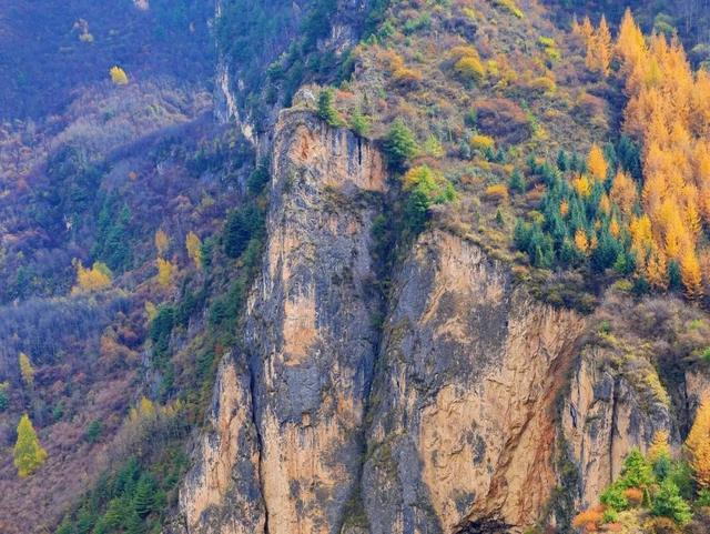 这么好看，不愧是遮阳山的秋天！