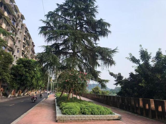 实探|乐山滨江滨河路建议这样升级：步行街+非遗集市+江上表演！