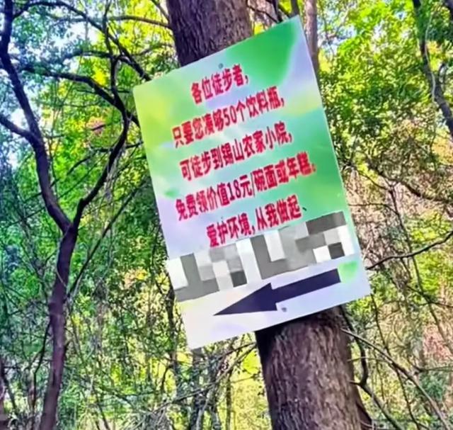 50个瓶子，换一碗年糕！这间小院守护一座山的清净