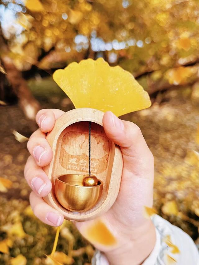 避开人从众！门头沟这里的秋，人少景美，一秒治愈！