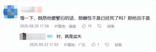 我以为贝利亚和奶龙已经是下限，没想到还有更大的