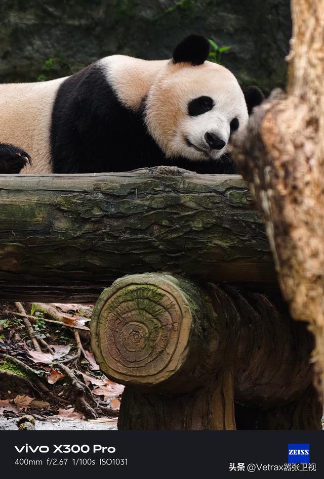 超全万字文！告诉你为什么 X300 系列是最强旗舰影像机