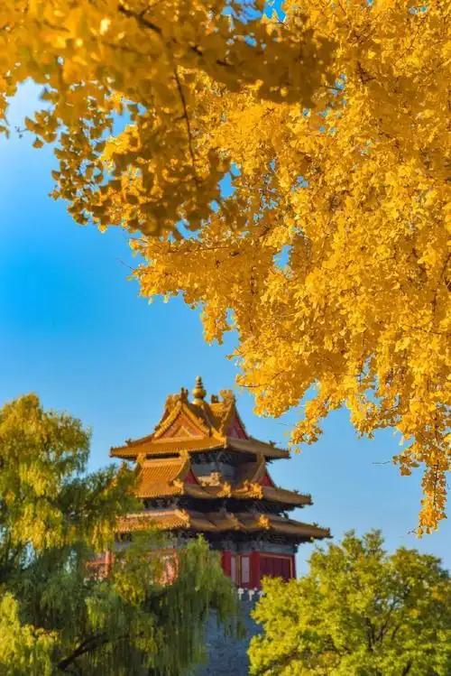 北京故宫的角楼您了解多少，来北京必打卡拍照地，来看一看
