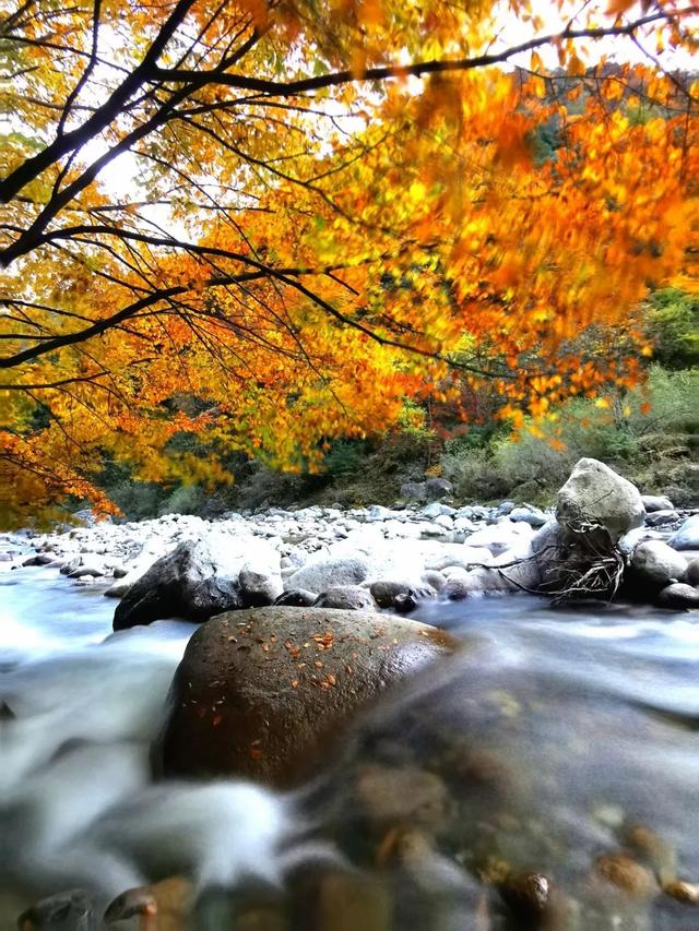 广元不远 周末优选 | 初露染山河，广元发来一份秋日邀请函