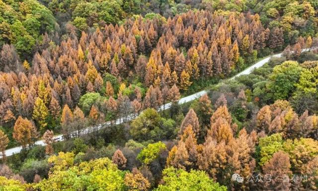 镜瞰秦州·悦秋