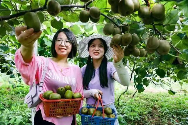 九江这几个有山有水的村子，氛围感拉满！