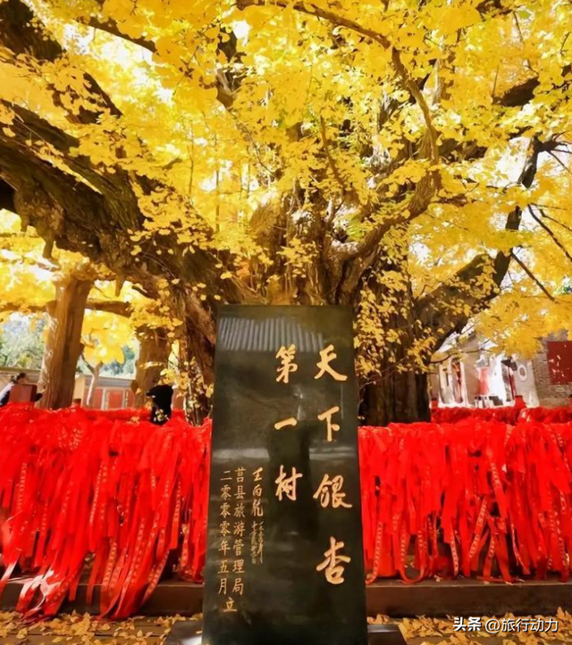 山东糊涂啊，日照4个独一无二的景点，赶快宣传吧！