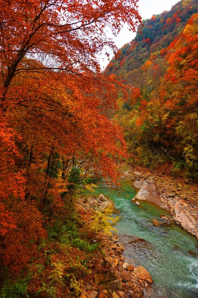 赏秋正当时!自驾来汉中,赴一场秋日视觉盛宴~
