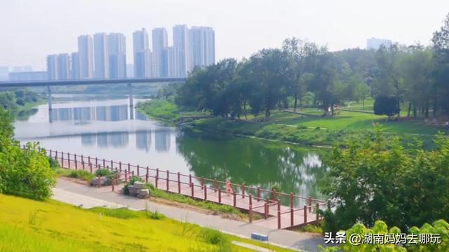 1小时直达！长沙藏了片“狗尾巴草秘境”，免费露营+玩水，人少景美，错过等一年！