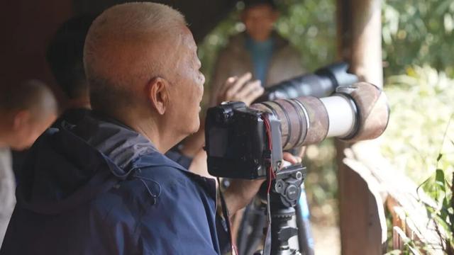 鸟鸣致富路—四川老君山国家级自然保护区奏响屏山文旅融合新乐章