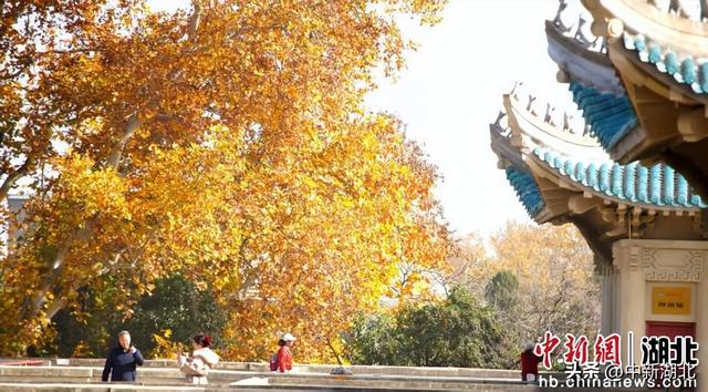 组图：武汉大学校园即景