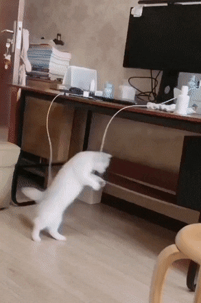 “姑娘，不是什么照片都能随便发的！”哈哈哈亮点都看到了！