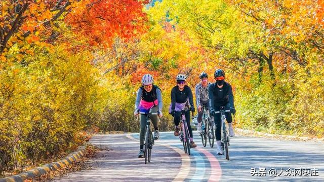 四季流转 多彩枣庄 | 枣庄：凤凰绿道色彩斑斓风景如画