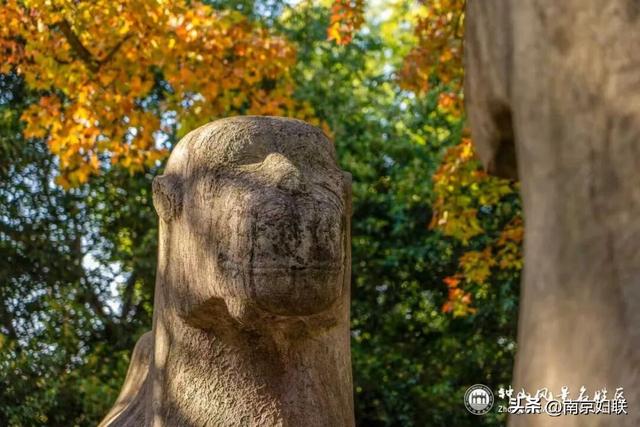给个准信！盼了又盼的秋日“顶流”全部上线