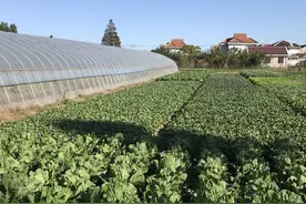 2024年家庭农场申请的具体要求和步骤！图片