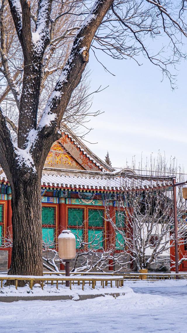 雪落廊桥，颐和园便成了半白半黛的水墨长卷。