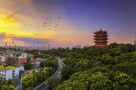 原来这才是“楚”的本意，您清楚吗？图片