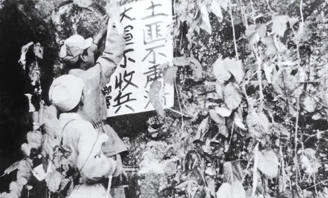 云南82岁老汉服毒自杀，警方发现：他是军委找了40年的人