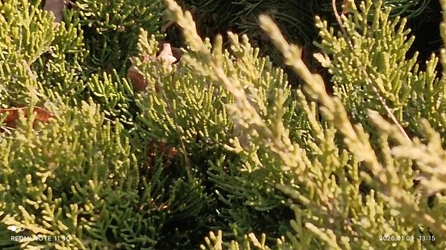 现代文学院==失去