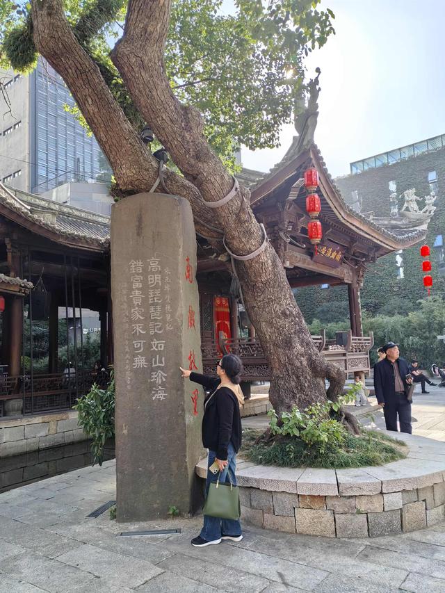 瓯越风情（三）：温州·诗屿浮江与市井温润