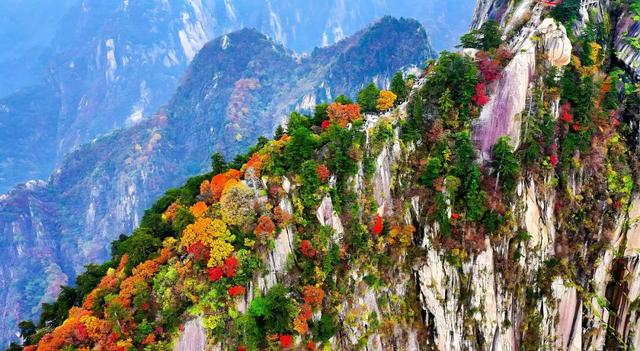 还能去哪儿赏最后一波秋色……