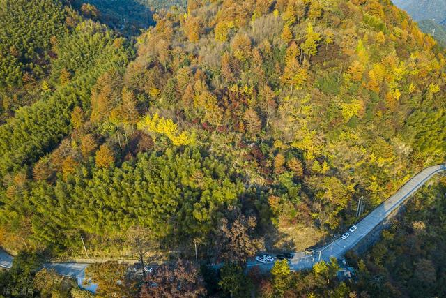 彩林观赏季，赏秋绝佳时，10月-12月适合去看的7处彩色山林