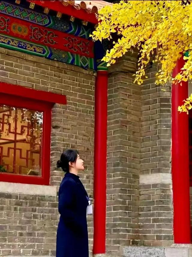 @临沂市民 银杏树已到最佳观赏期，速来！