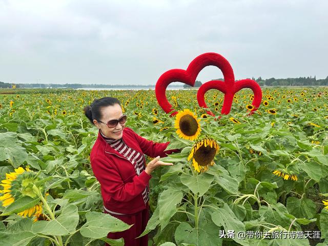南京高淳固城湖水慢城风光