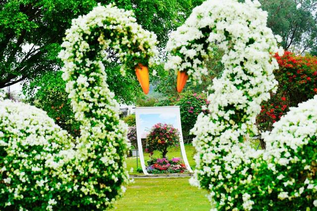 国风骑士踏雪寻花，马岭观花植物园开启冬日沉浸式文旅体验